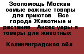 Зоопомощь.Москва: самые важные товары для приютов - Все города Животные и растения » Аксесcуары и товары для животных   . Калининградская обл.